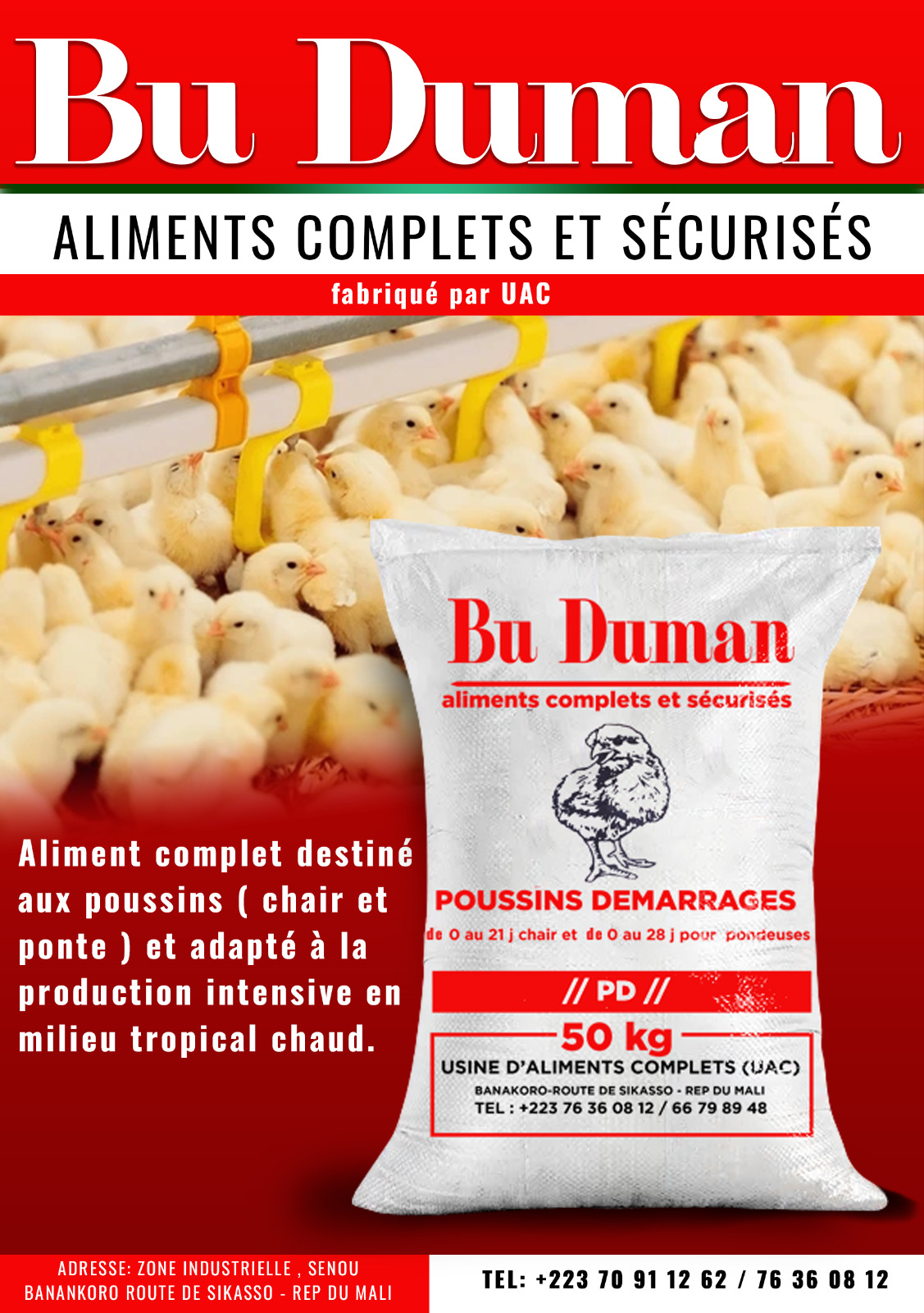 Bu Duman Poussin DEMARRAGE